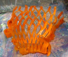 carrot net