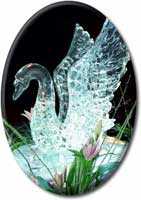 ice swan